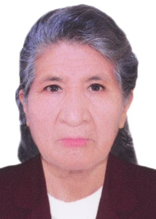 BERTHA ROJAS LOPEZ, Segundo Vicepresidente de PARTIDO POLITICO NACIONAL PERU LIBRE para elecciones Peru 2026