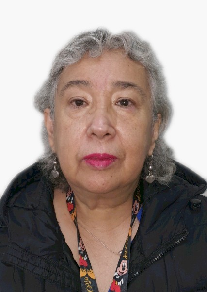 ROSSANA ELENA MONTES TELLO, Primer Vicepresidente de PARTIDO PATRIOTICO DEL PERU para elecciones Peru 2026