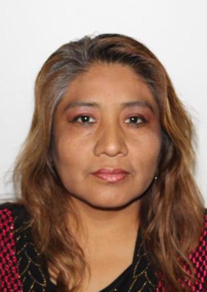 NELIDA JULIANA CUAYLA CUAYLA, Segundo Vicepresidente de PARTIDO DE LOS TRABAJADORES Y EMPRENDEDORES PTE - PERU para elecciones Peru 2026