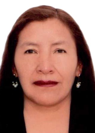 DINA IRENE HANCCO HANCCO, Segundo Vicepresidente de PARTIDO CIVICO OBRAS para elecciones Peru 2026